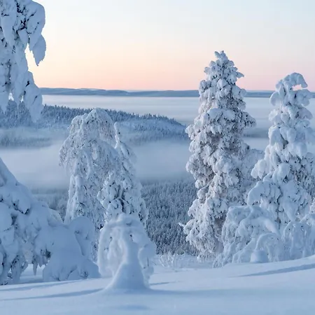 North 17a By In Lapland Levi